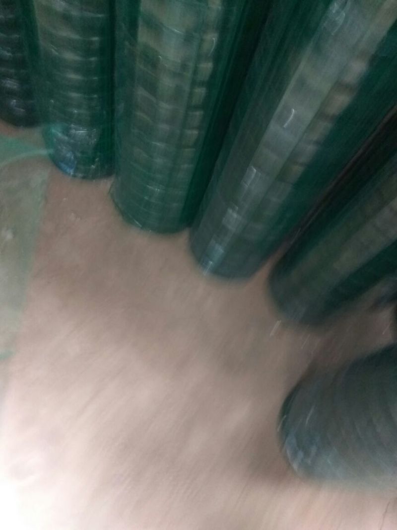 养殖网荷兰网规格1.8*30米