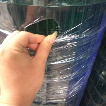 养殖网荷兰网规格1.8*30米