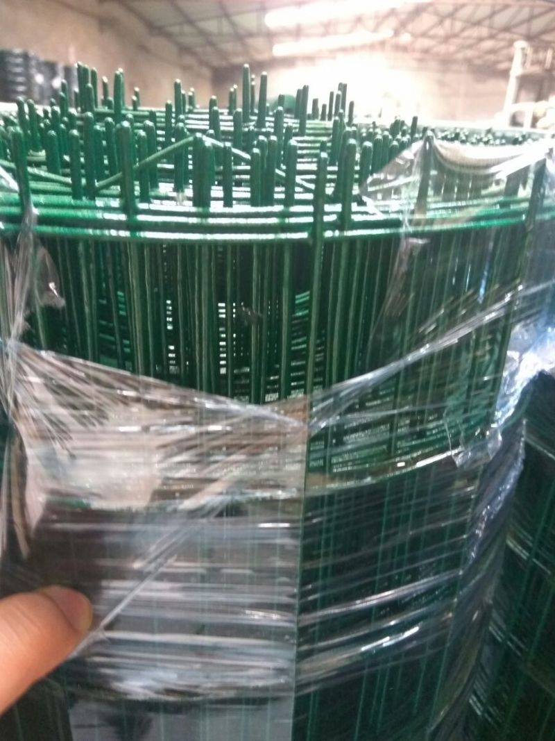 养殖网荷兰网规格1.8*30米