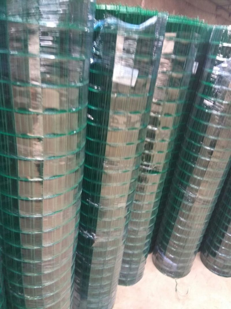 养殖网荷兰网规格1.8*30米