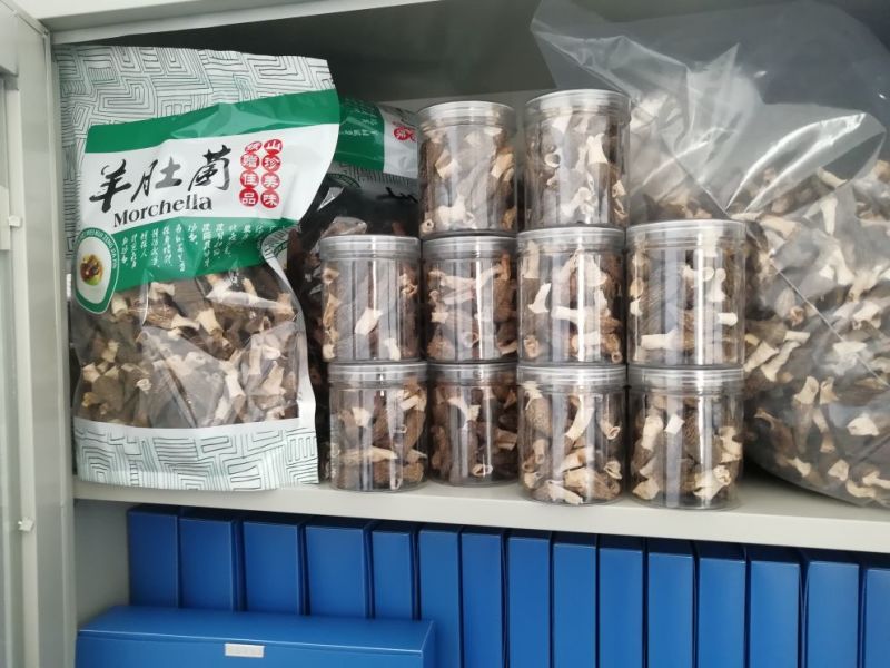 羊肚菌一级品
