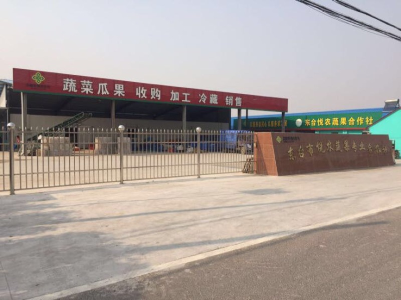 东台西瓜早春红玉3斤打底皮薄口感爽，糖份13以上