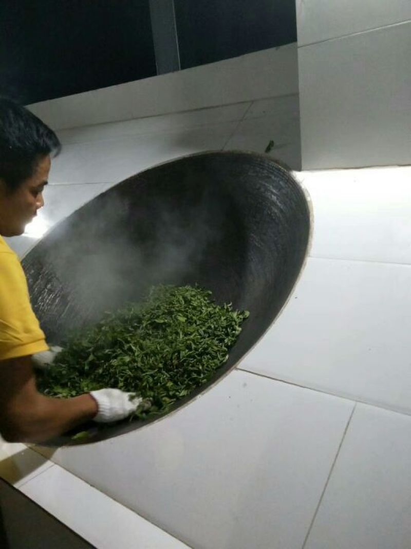古树普洱茶特级