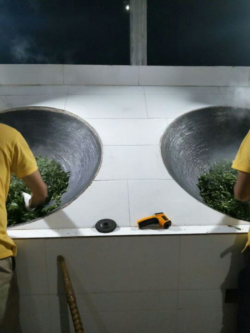 古树普洱茶特级