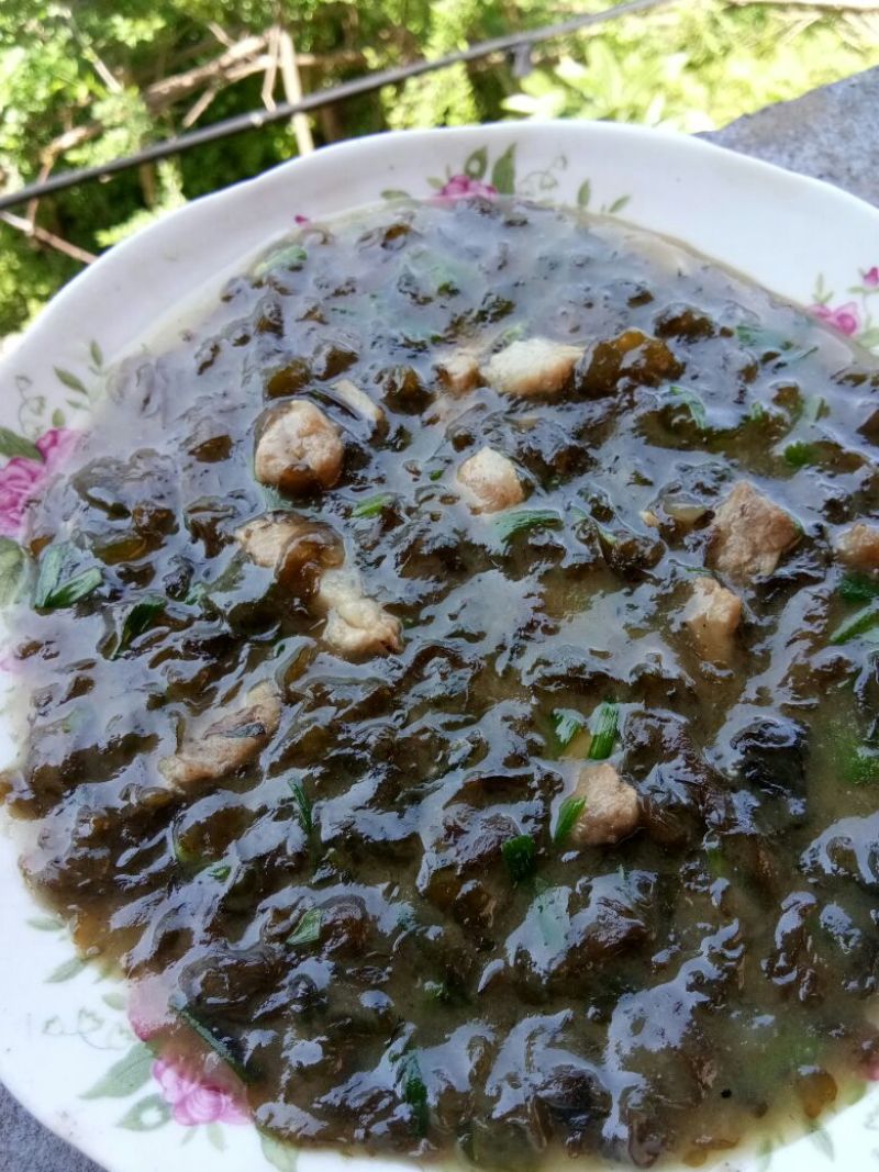 地皮菜特级免洗鲜地皮菜