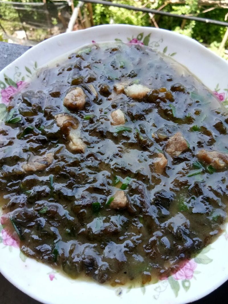 地皮菜特级免洗鲜地皮菜