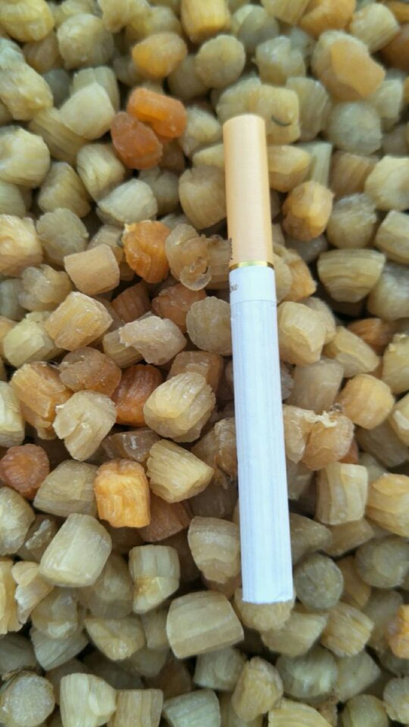 干瑶柱