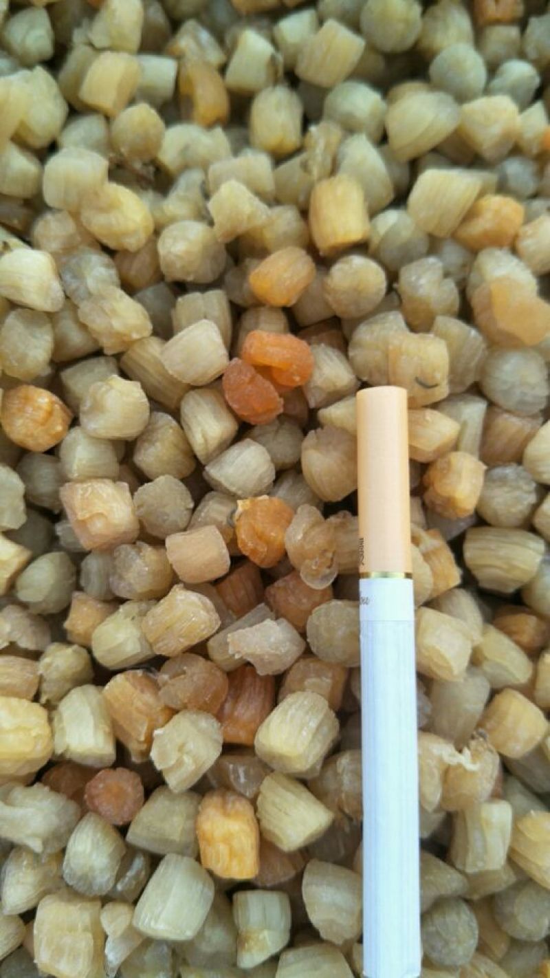 干瑶柱