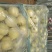 甜瓜精品0.5斤以上