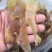 珍珠鲍食用