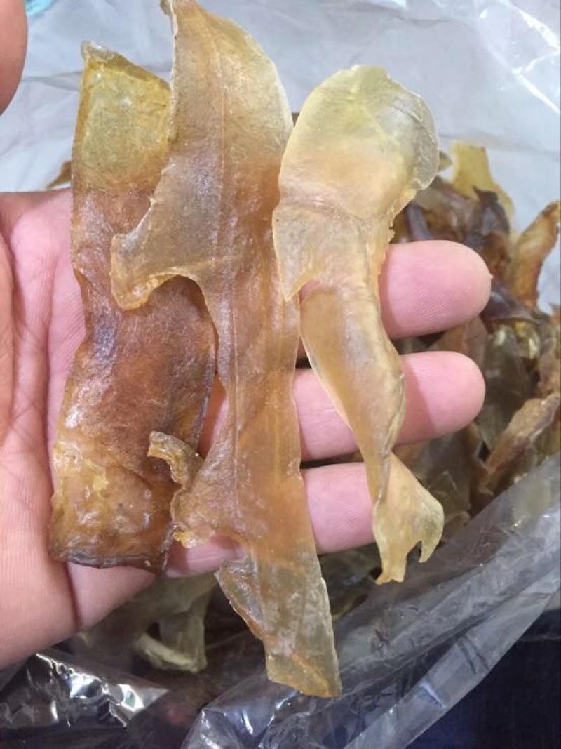 珍珠鲍食用