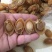 珍珠鲍食用