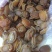 珍珠鲍食用
