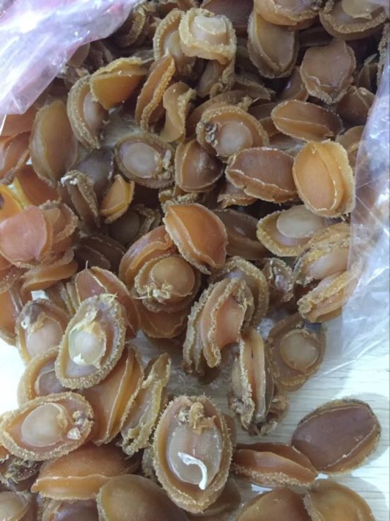 珍珠鲍食用