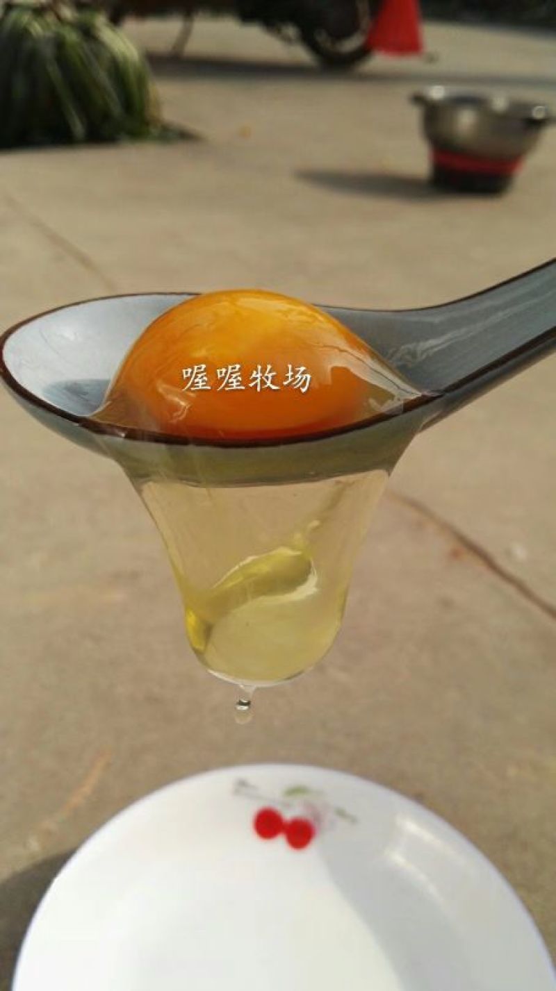 乌鸡蛋食用50~60g