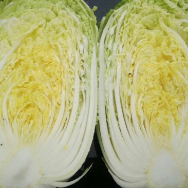 白菜毛菜7斤以上