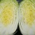 白菜毛菜7斤以上