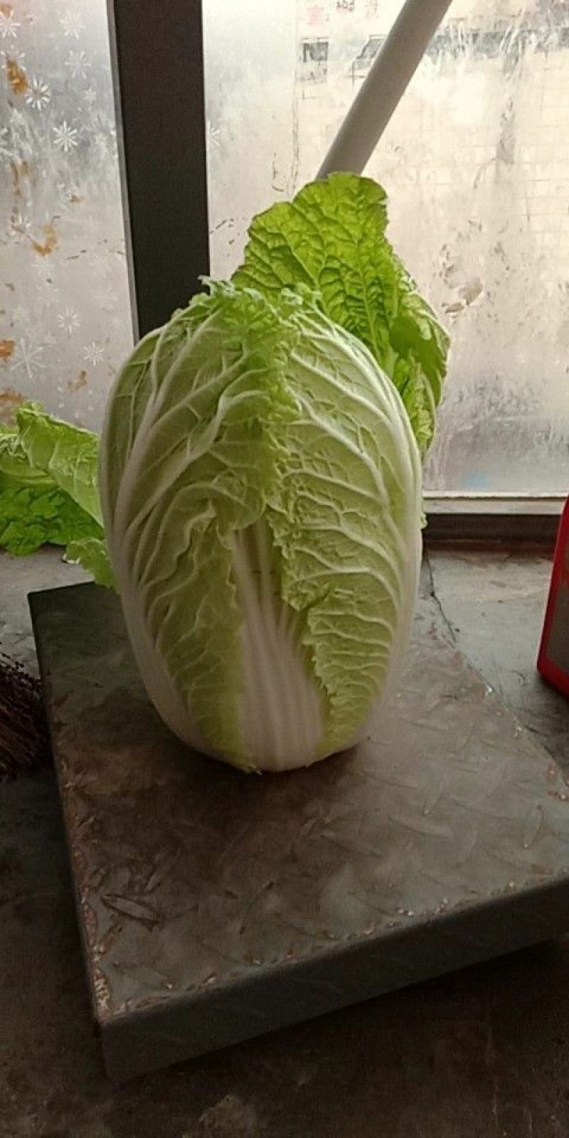 白菜毛菜7斤以上