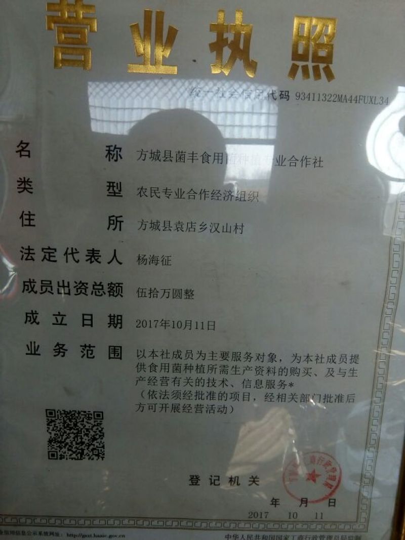 808香菇棒16*60公分