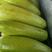 河南博爱绿皮西葫芦0.6斤以上，代发全国，支持视频看货