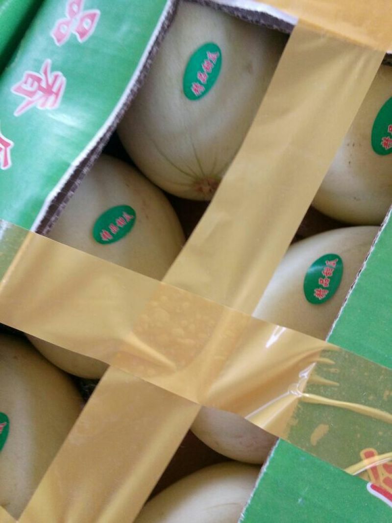 【甜瓜】东方蜜1号甜瓜精品甜瓜口感清脆皮薄多汁