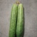 旱黄瓜鲜花带刺22~25公分颜色青质量好