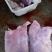 驴肉鲜货