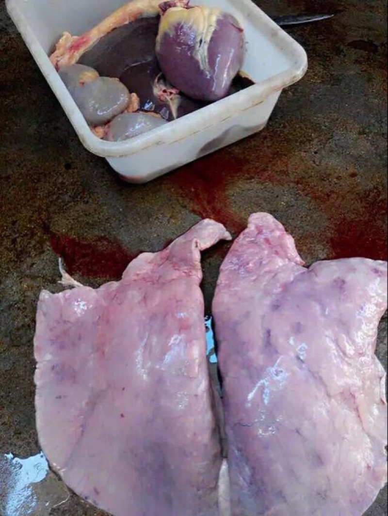 驴肉鲜货