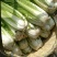 大白菜净菜3~5斤