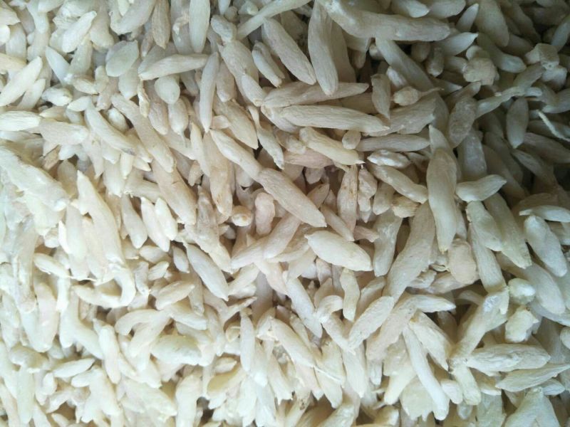 麦冬