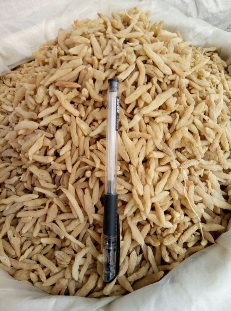 麦冬