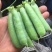 甜脆豌豆饱满