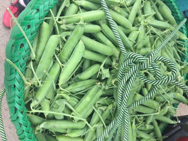 甜脆豌豆饱满