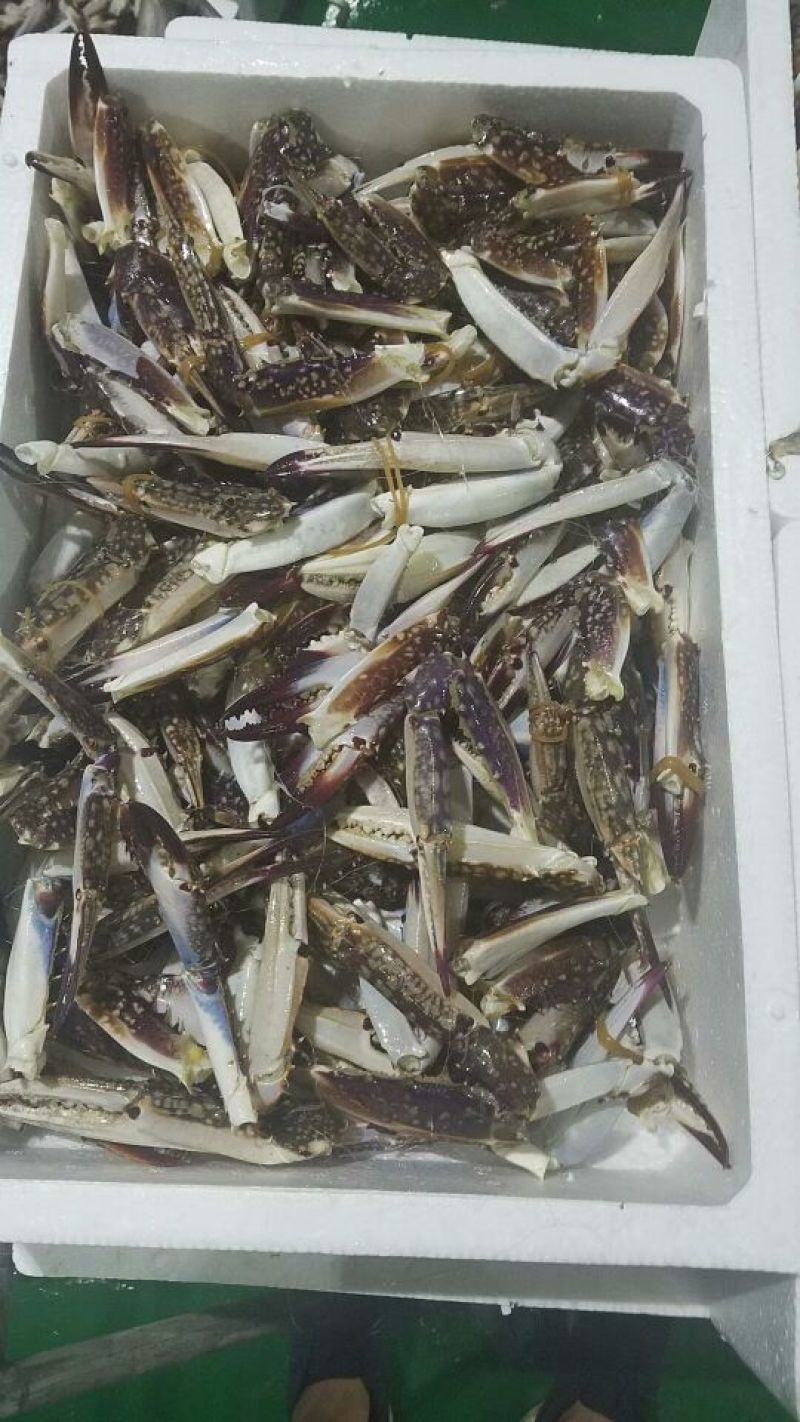 蟹钳