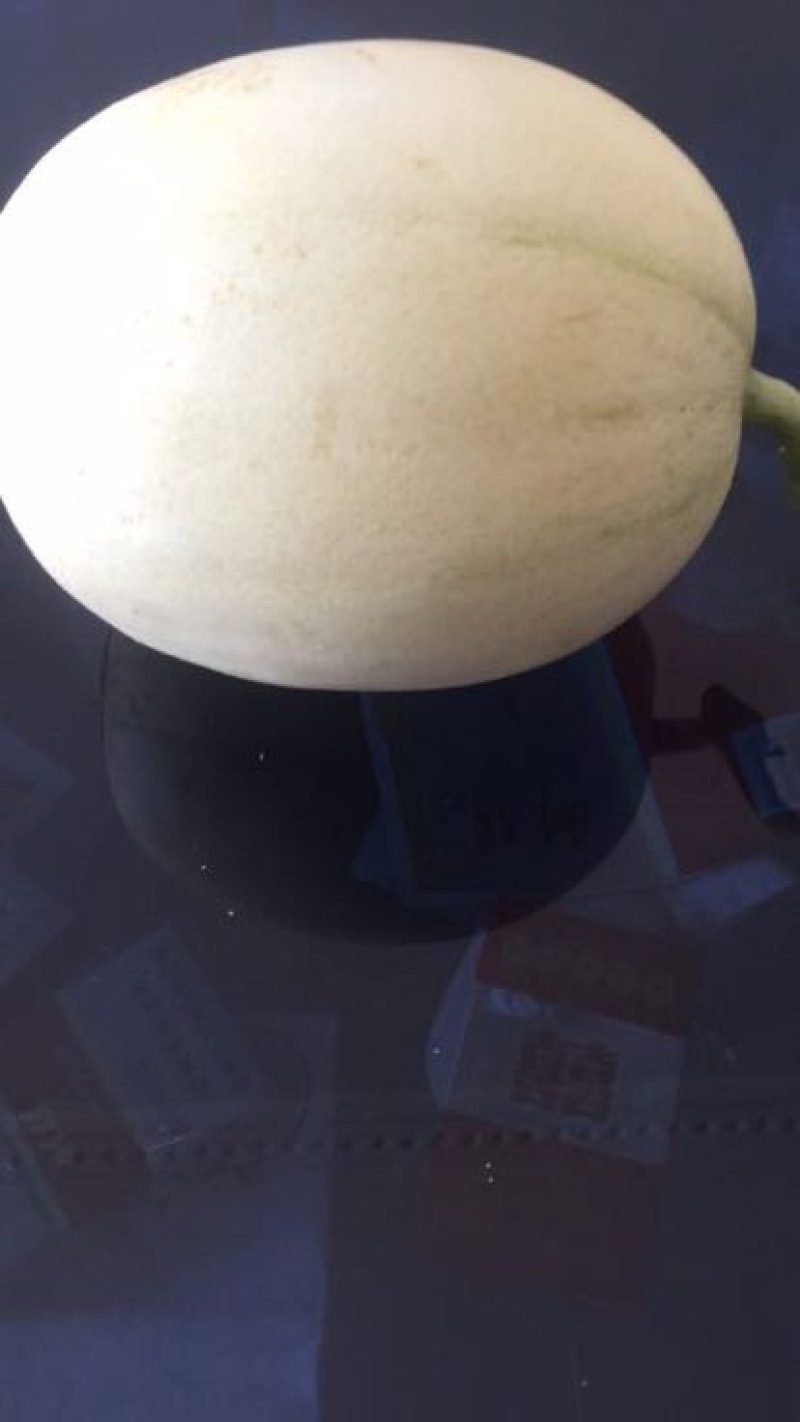东方蜜1号甜瓜1.5斤以上精品