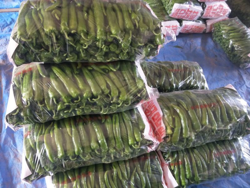 牛角椒15~20厘米青微辣