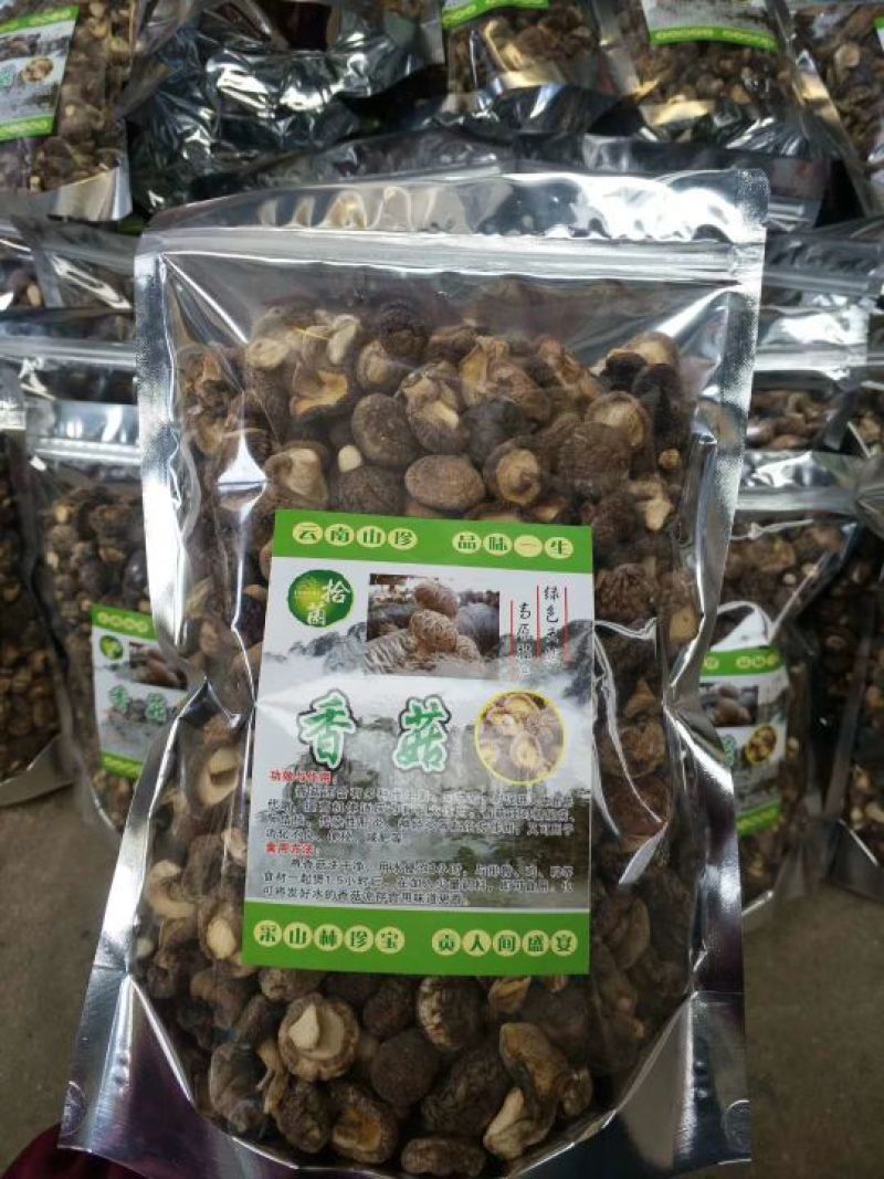 鲜香菇干香菇产自云南大森林