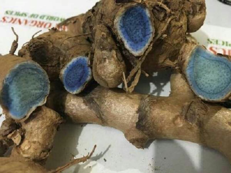 黄姜黑姜