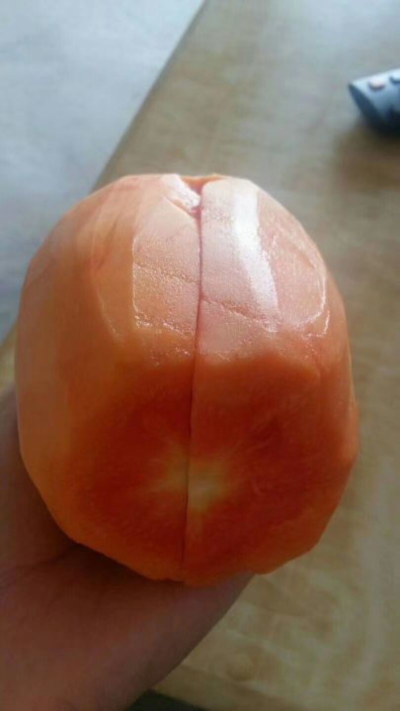 木瓜树苗20~30cm