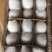 皇冠梨河北精品货源充足，250~300g纸箱
