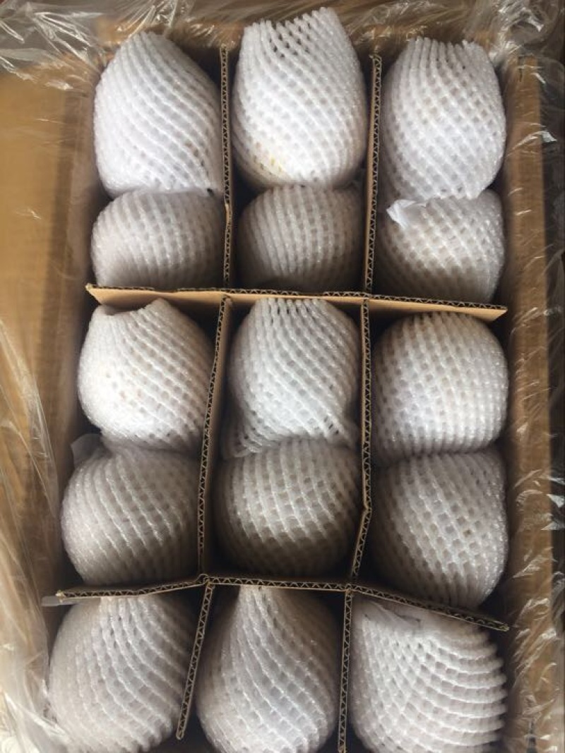皇冠梨河北精品货源充足，250~300g纸箱