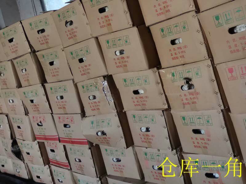 天麻种植萌发菌天麻菌种下蒴果播花粉用厂家批发