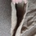麻袋