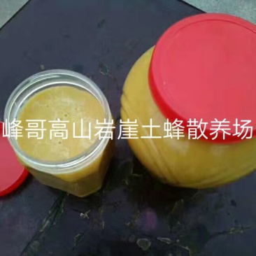 湖南湘西高山岩崖一年百花土蜂蜜