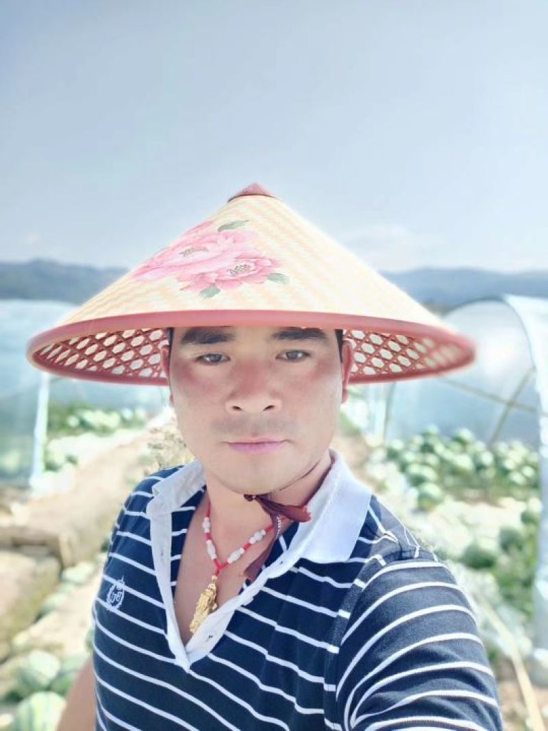 【精选】麒麟西瓜个头均匀皮薄肉厚甜度好基地直发一手货源