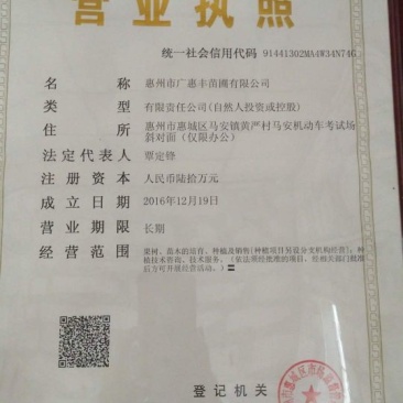 神秘果苗