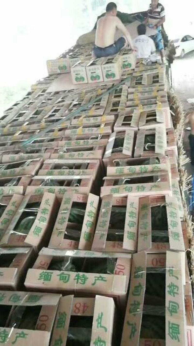 西瓜京欣甜王产地直供个大皮薄