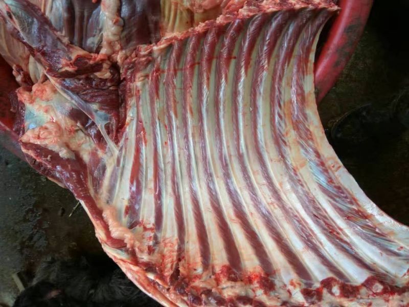 驴肉鲜货