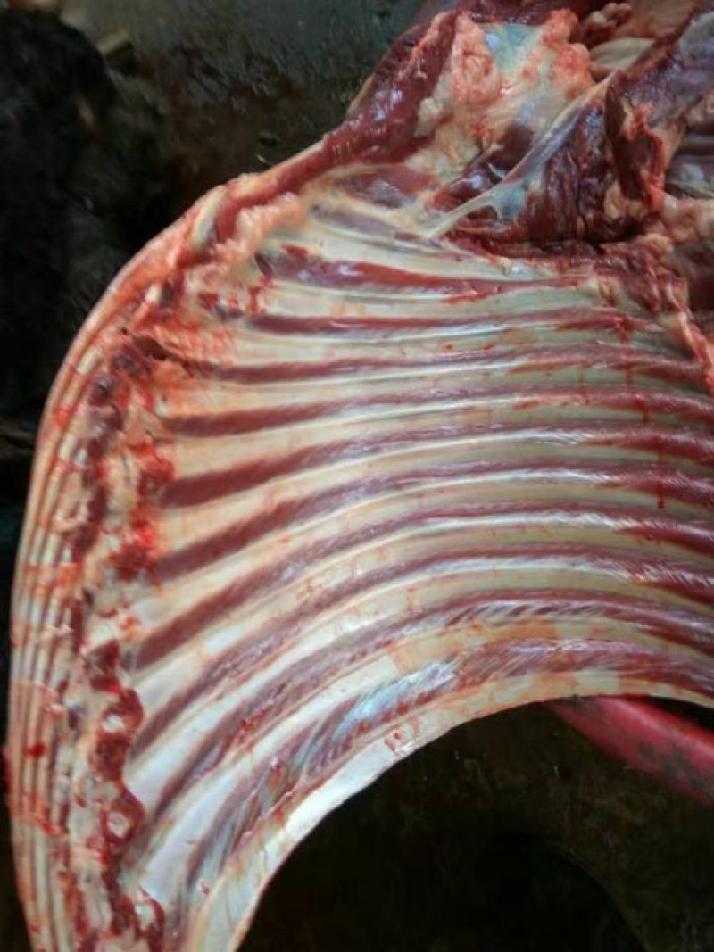 驴肉鲜货