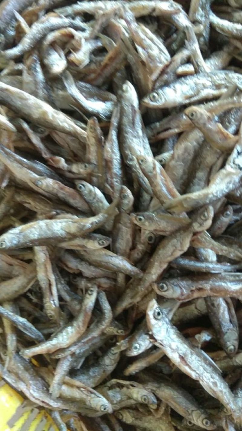 河汊小干鱼油炸小鱼干